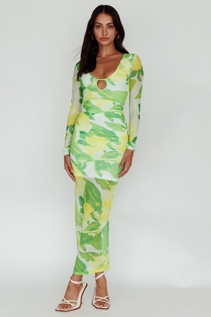 Chardae Long Sleeve Mesh Midi Dress Floral Green