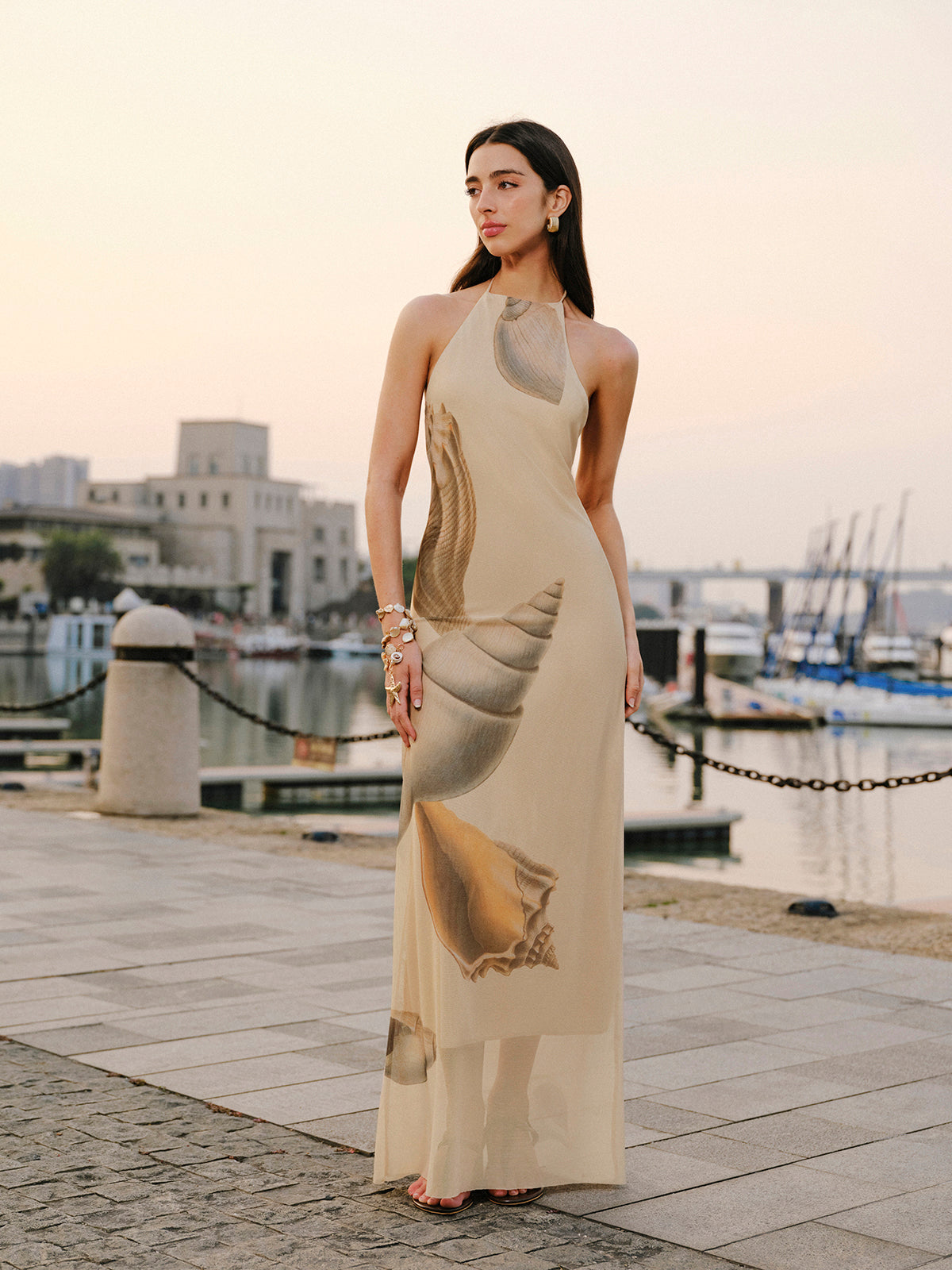 Mesh Halter Neck Backless Dress