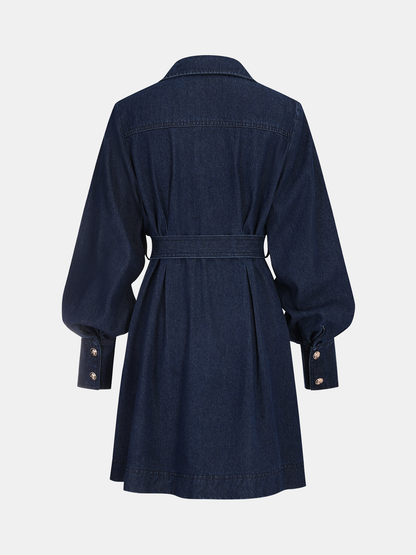 Belted Button-Front Denim Shirt Dress