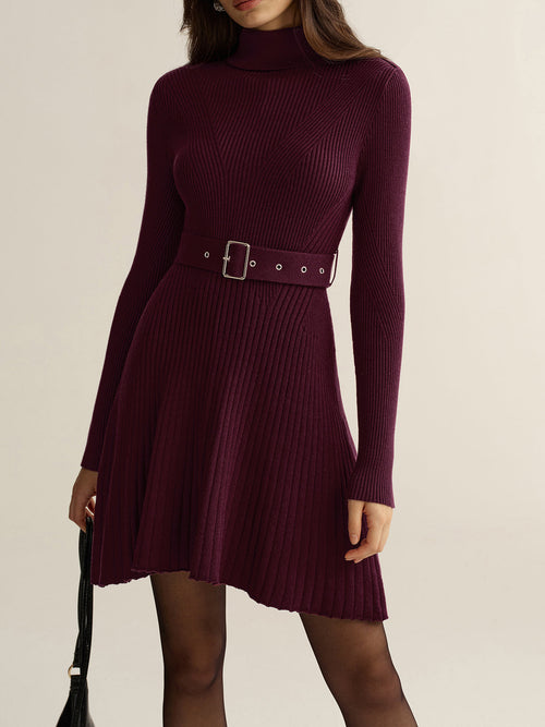 Belted Turtleneck Ribbed Knit Mini Dress