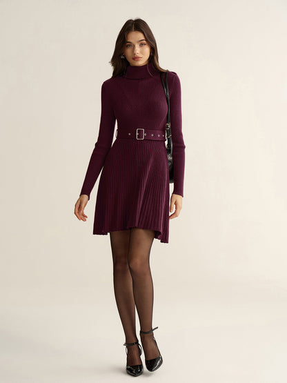 Belted Turtleneck Ribbed Knit Mini Dress