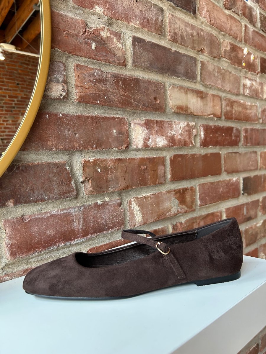 Addy Dark Brown Suede Ballet Flat