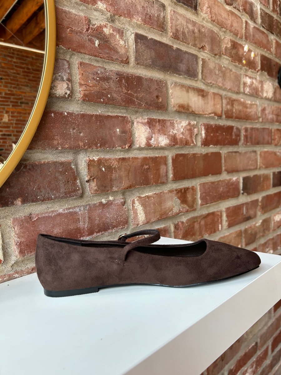 Addy Dark Brown Suede Ballet Flat