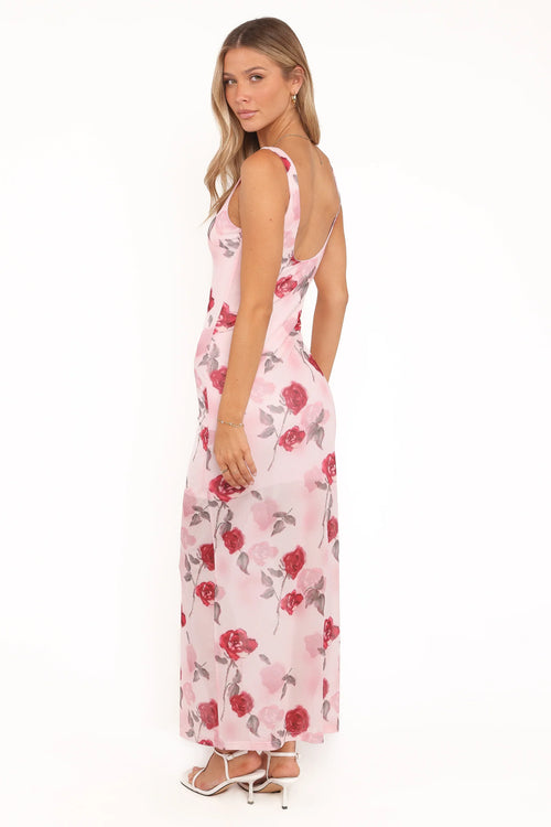 Brissa Maxi Dress - Pink Floral